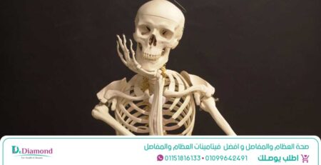 صحة-العظام-والمفاصل-و-افضل--فيتامينات-العظام-والمفاصل
