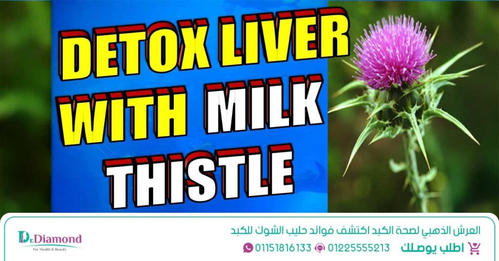 شوك الجمل Silybum Marianum تعتبر واحدة من أفضل علاج للتخلص من دهون الكبد - حبوب شوك الجمل - شوك الجمل للصداع النصفي - شوك الجمل للكبد - شوك الجمل مجفف - فوائد كبسولات حليب الشوك - فوائد حليب الشوك للشعر