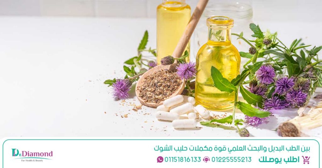 شوك الجمل Silybum Marianum تعتبر واحدة من أفضل علاج للتخلص من دهون الكبد - حبوب شوك الجمل - شوك الجمل للصداع النصفي - شوك الجمل للكبد - شوك الجمل مجفف - فوائد كبسولات حليب الشوك - فوائد حليب الشوك للشعر