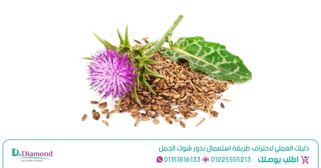 العرش الذهبي لصحة الكبد: اكتشف فوائد حليب الشوك للكبد