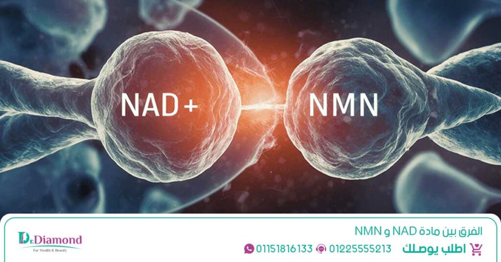 مادة NMN نيكوتيناميد أحادي النوكليوتيد مركب طبيعي يعزز مستويات NAD+ في الجسم - نيكوتيناميد - nicotinamide فوائد - فوائد نيكوتيناميد - حقن نيكوتيناميد - nmn فوائد واضرار - النوكليوتيد