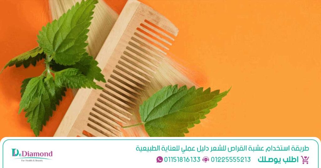 نبات القراص (Nettle) دعم صحة البروستاتا، المسالك البولية، الشعر، والمناعة - عشبه القريص - ماهو شاي القراص - أضرار القراص - أضرار القراص - أقراص نبات القراص في مصر - عشبة القراص فى مصر
