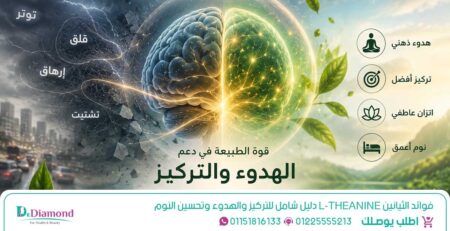 فوائد الثيانين لتقليل التوتروالقلق وتحسين جودة النوم - الثيانين حبوب - فوائد الثيانين الطبيعي - الثيانين والدوبامين - مادة الثيانين - ماهو الثيانين