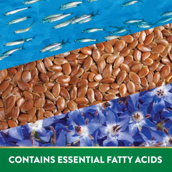 تريبل أوميجا 369 أو أوميجا 369 تربل من Nature’s Truth Omega 3 6 9 هو المكمل الغذائي أوميجا الذي يجمع بين أوميجا 3 و6 و9 في تركيبة واحدة، ويُعرف أيضًا باسم تربل أوميغا 3 6 9 أو أوميجا تربل، مع توضيح الفرق بين أوميجا 3 وأوميجا 3 6 9، وفوائد أوميغا 3 6 9 للرجال، وأهم أضرار أوميجا 3 6 9 المحتملة عند الاستخدام غير المناسب.